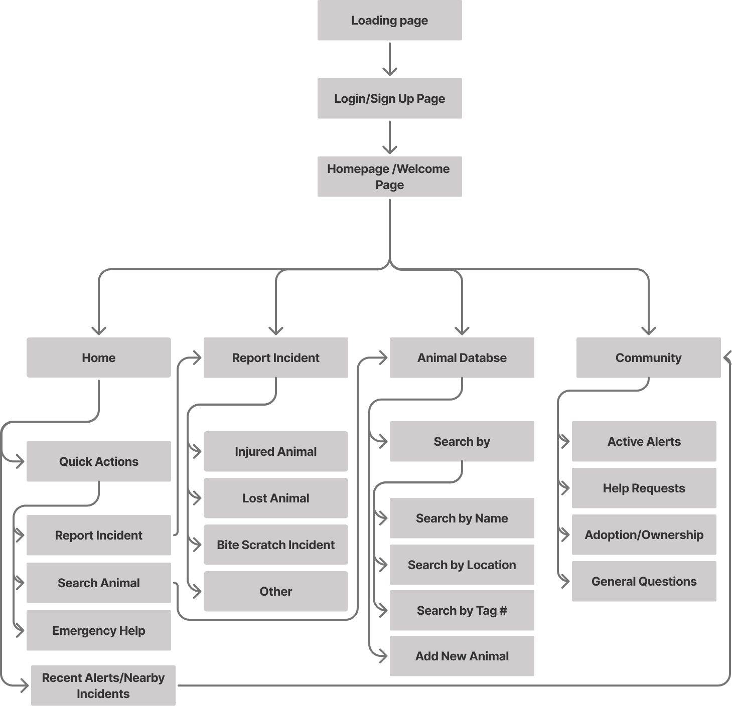 Information Architecture for the PATI App